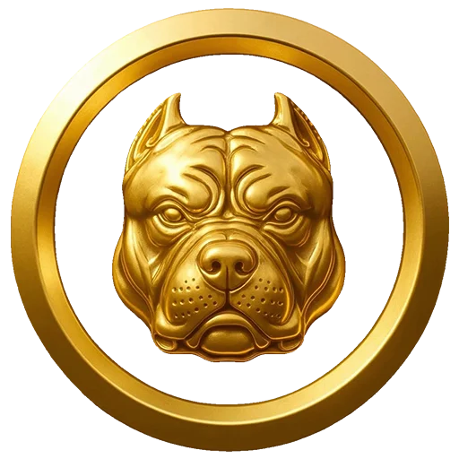 BETDOG ทางเข้าเว็บตรง | สล็อต คาสิโน และข้อมูลครบ